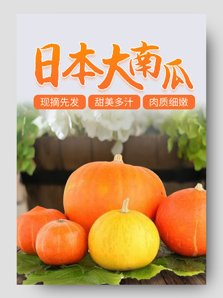 橙色简约小清新日本大南瓜蔬菜生鲜促销电商蔬菜生鲜南瓜详情页